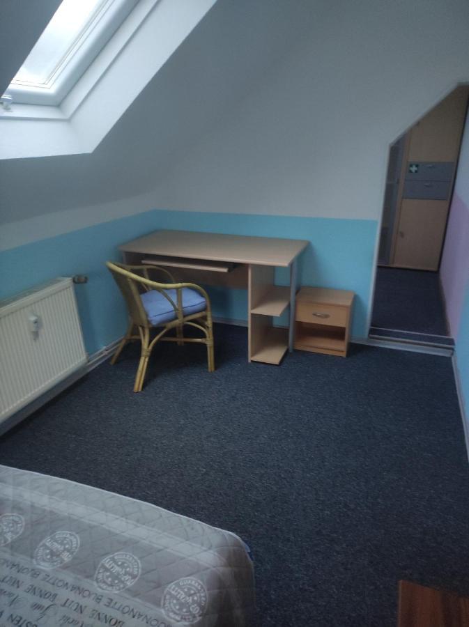Kleine Gemuetliche Wohnung Zwickau Eksteriør bilde