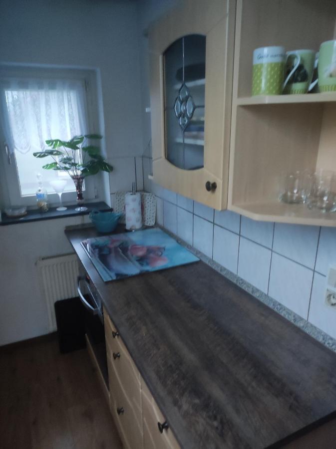 Kleine Gemuetliche Wohnung Zwickau Eksteriør bilde