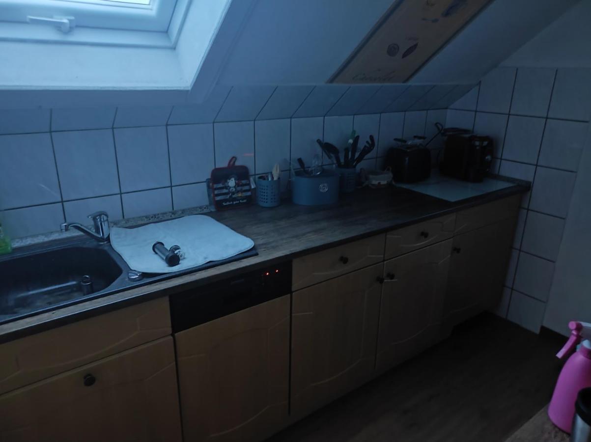 Kleine Gemuetliche Wohnung Zwickau Eksteriør bilde