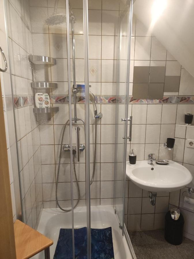 Kleine Gemuetliche Wohnung Zwickau Eksteriør bilde