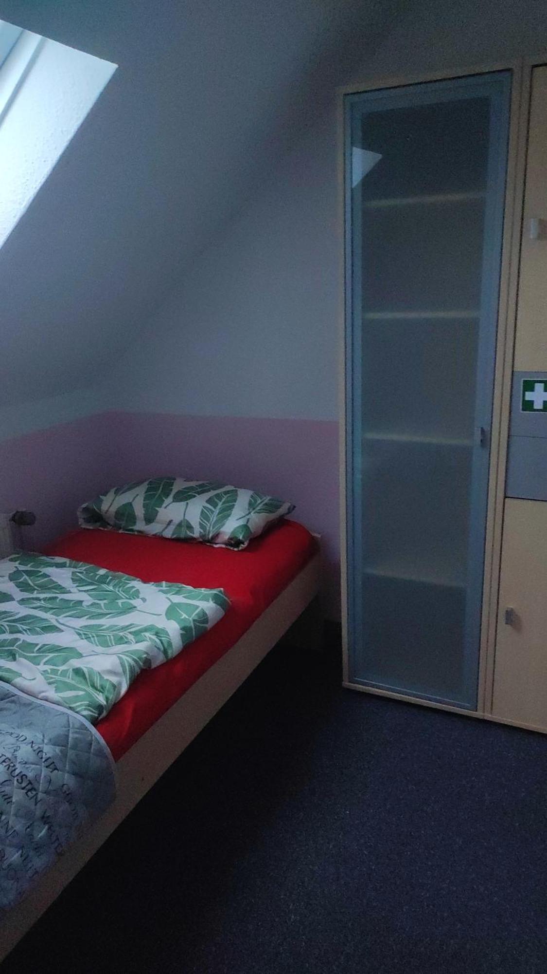 Kleine Gemuetliche Wohnung Zwickau Eksteriør bilde